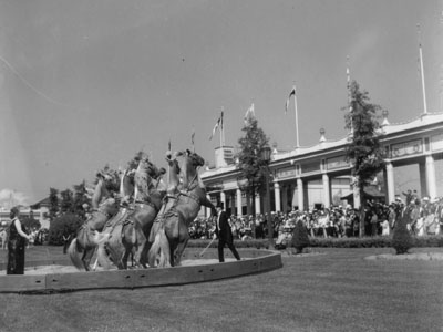 Christiansen's show horses performing at Playland, n.d. (PPL-275)