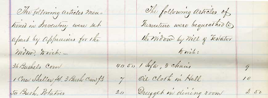 Portion of an estate inventory from 1864. (A-0141(156)L, file 1863-180). Click on picture for full image.